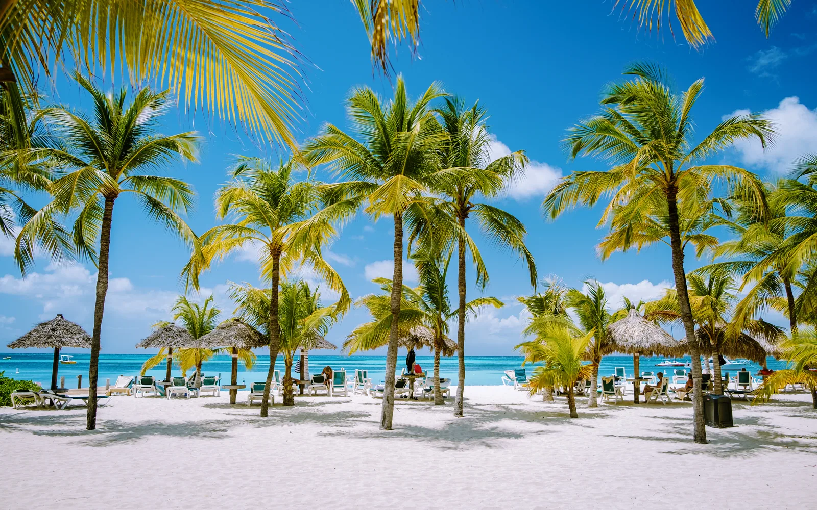 Playa de resort con palmeras y palapas en Aruba